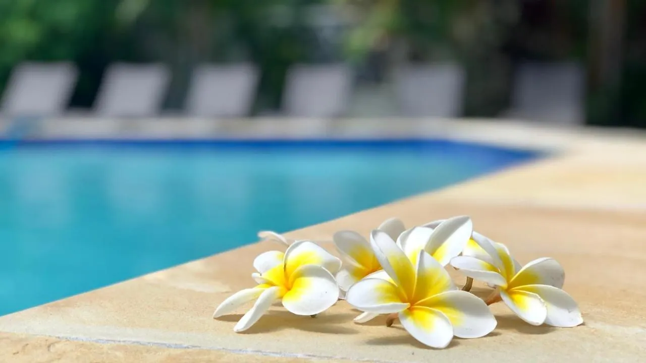*** Aparthotel Hi Ho Beach Apartments On Broadbeach Gold Coast Australia